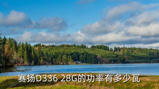 卡特336D2油箱多少生，賽揚D336 28G的功率有多少瓦...